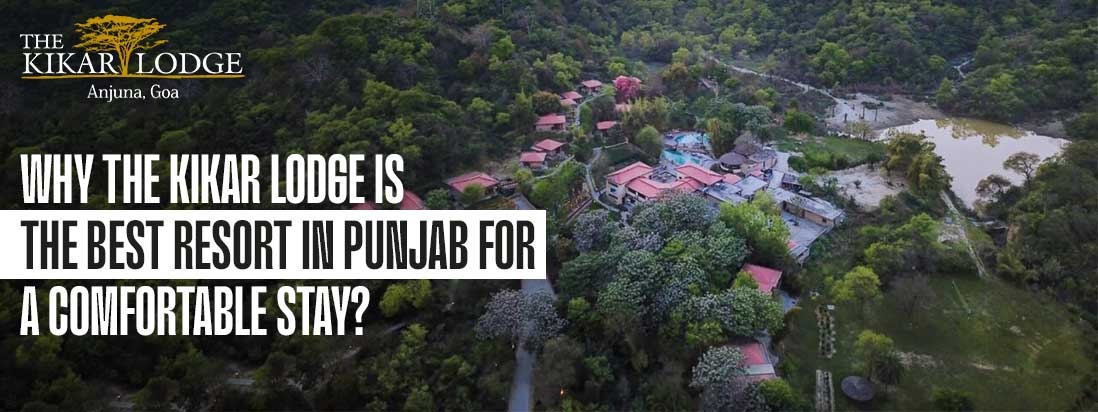 Why Kikar Lodge Resort is the Best Resort in Punjab for a Comfortable Stay?