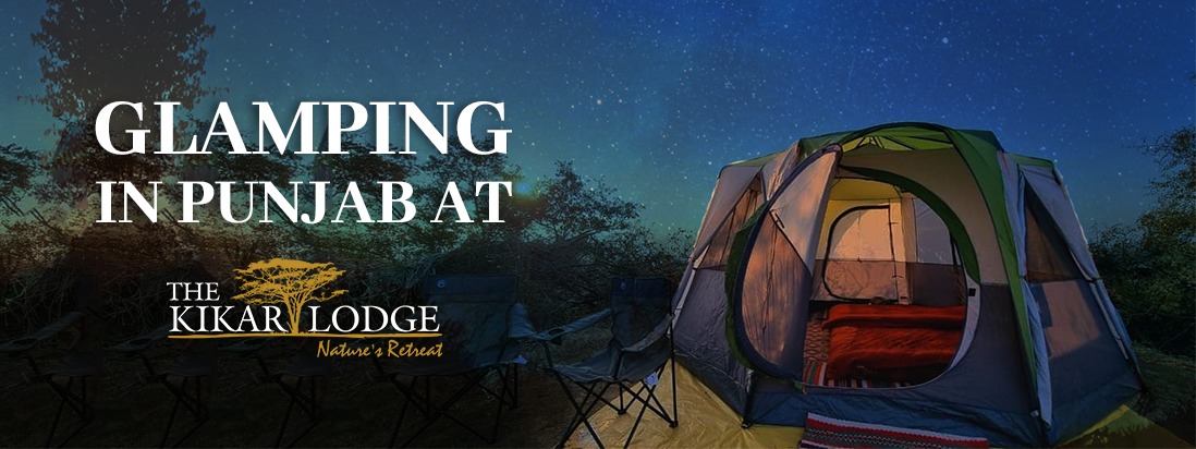 Glamping in Punjab at The Kikar Lodge