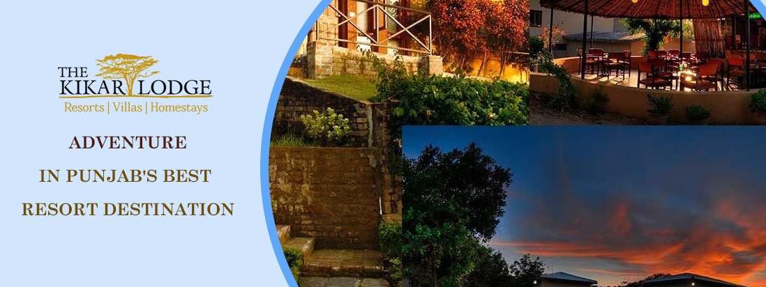 The Kikar Lodge: Adventure in Punjab’s Best Resort Destination